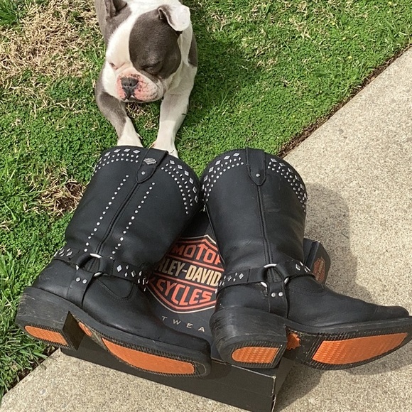 Harley-Davidson Shoes - Harley Davidsons